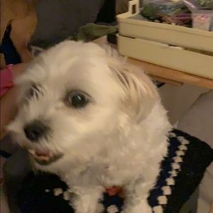 Meet your Posher, Milagros